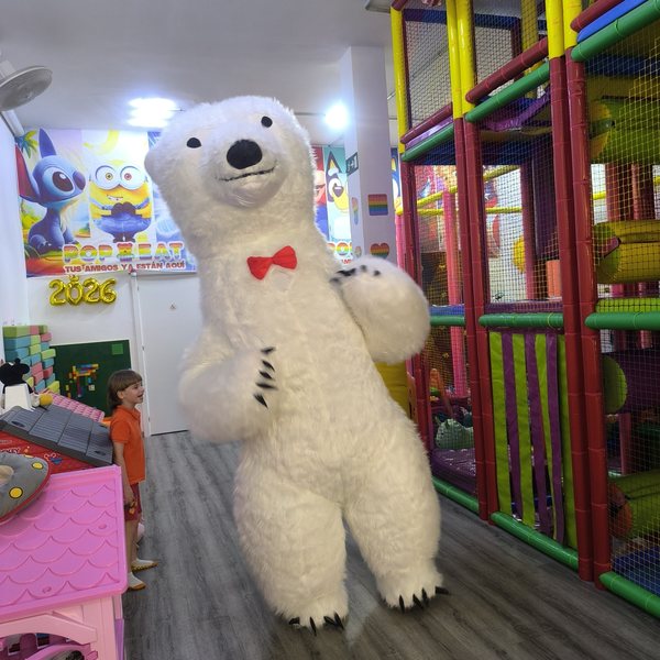 Oso Polar